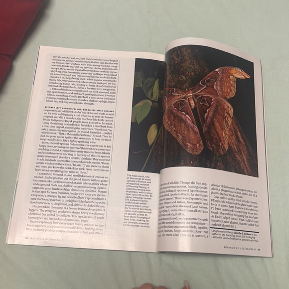 National Geographic Magazine February 2024 The Glass Age - Picture 15 of 15